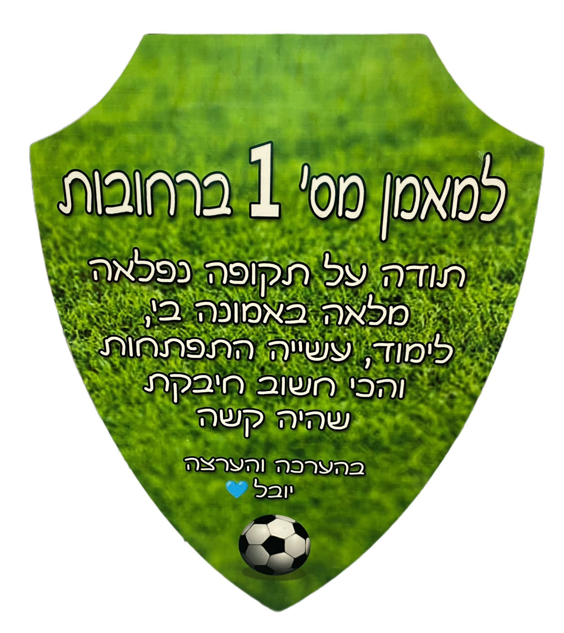 מגן בעיצוב אישי 